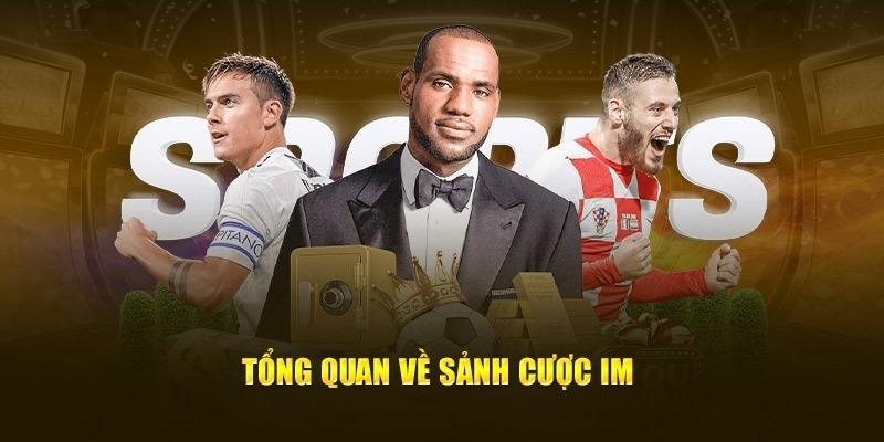 Thông tin giới thiệu cơ bản về sảnh cược IM Sports 77Win