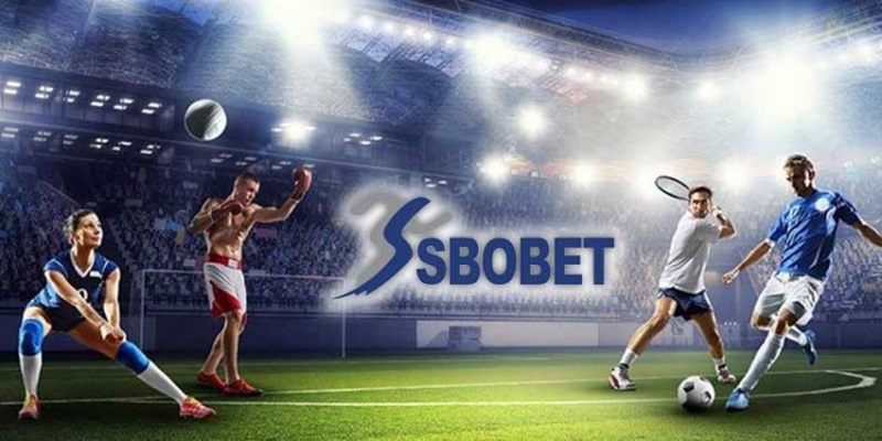 Sbobet 77win - Địa Chỉ Hàng Đầu Cho Người Yêu Thể Thao