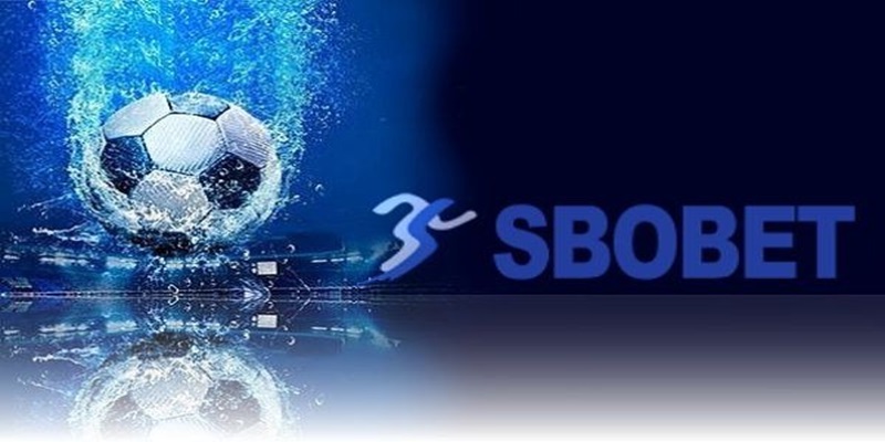 Sbobet 77win đang là địa chỉ cá cược thu hút nhiều khách hàng