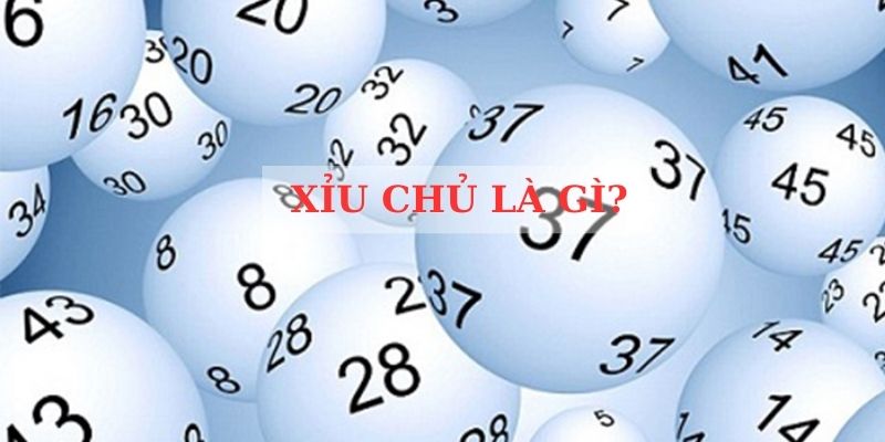 Định nghĩa đơn giản và dễ hiểu cho xỉu chủ là gì